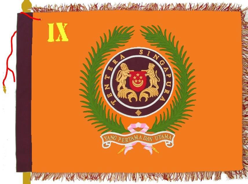 Figure 3: 9 SIR Regimental Colours