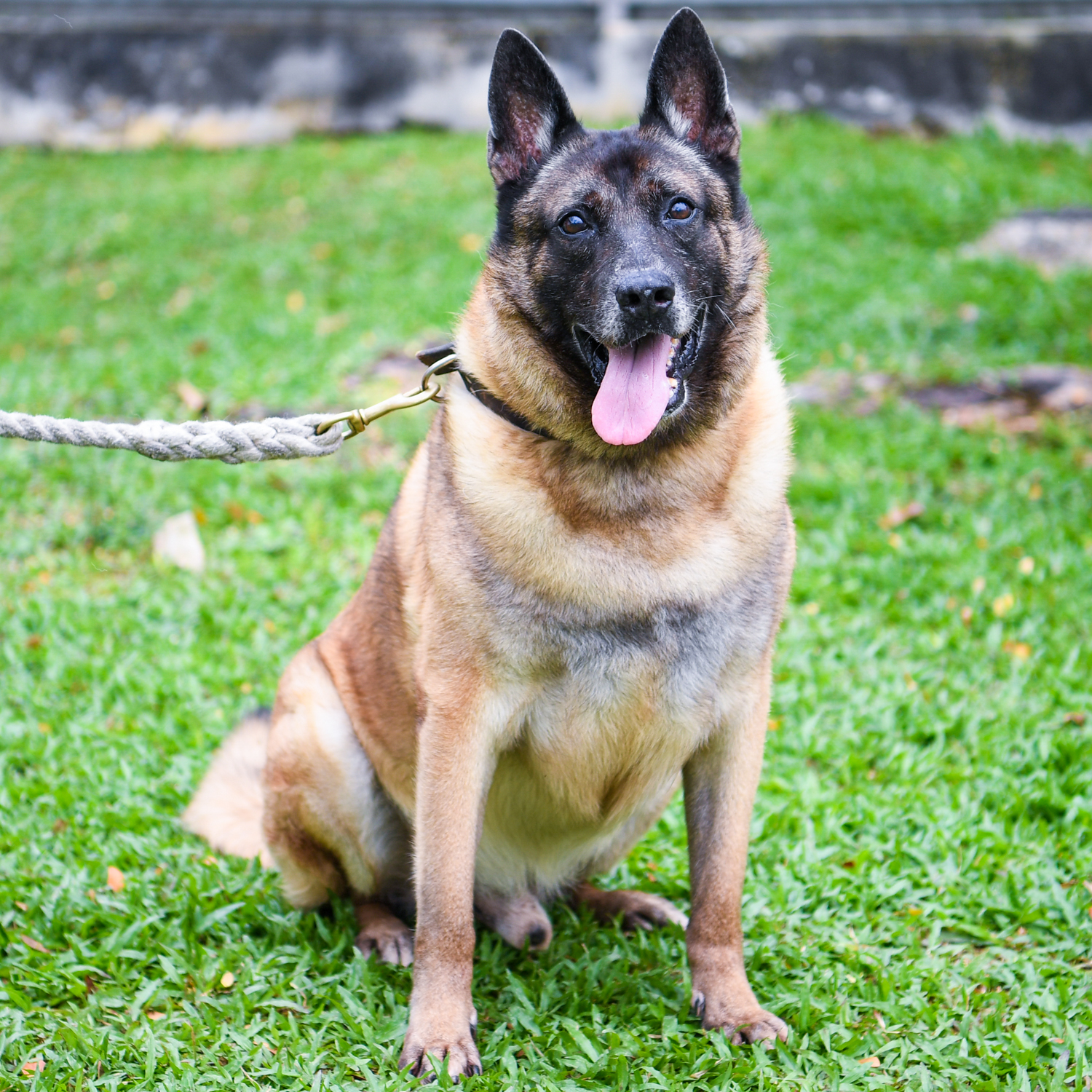 Zeus