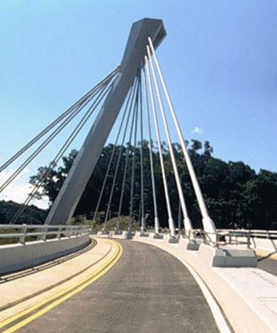 The SAFTI Link Bridge