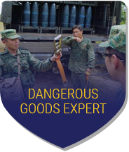 Dangerous Goods Expert