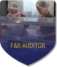FnB Auditor