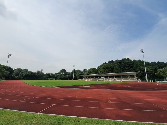SAFTI MI Stadium