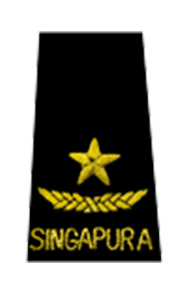 Rear Admiral (1 Star)