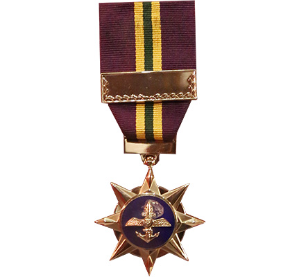 SAF Overseas Service Medal (Bronze Star)
