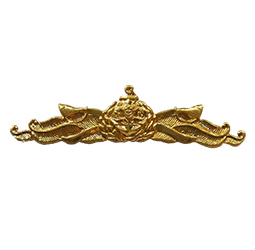 Naval Warfare Badge