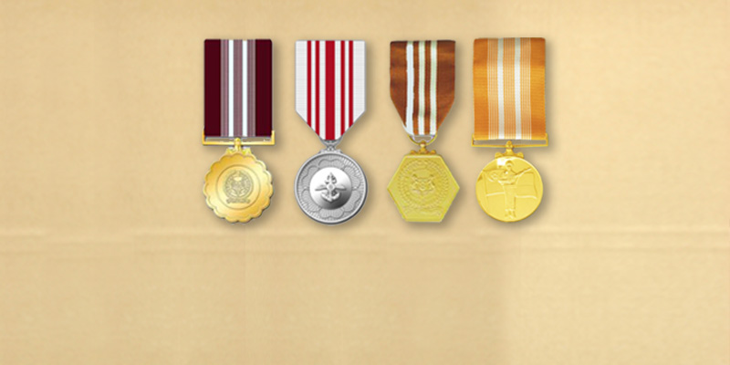 SAF Service Medals available for all NSmen