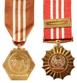 SAF Long Service & Good Conduct (10 Years) Medal - 15 Years Clasp
